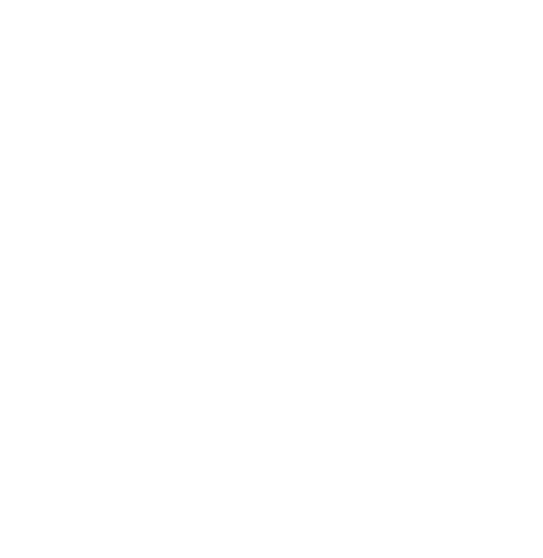 INVASIAN Logo